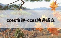 cces快递-cces快递成立