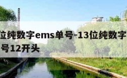 13位纯数字ems单号-13位纯数字ems单号12开头