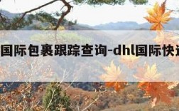 dhl国际包裹跟踪查询-dhl国际快递查询