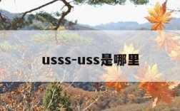 usss-uss是哪里